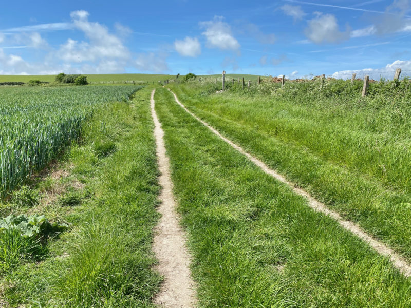 South Downs Way. Image © PlanetSKI